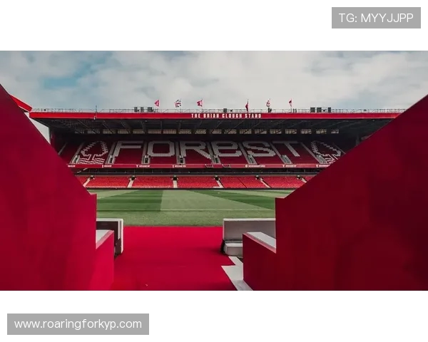 曼联赛后火车持刀伤人事件引发关注森林俱乐部发表深切慰问声明稿